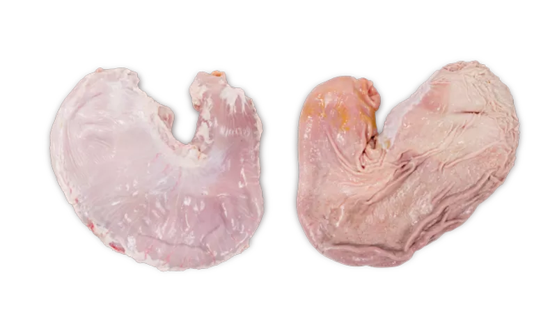 35301_STOMACH POACH CUT