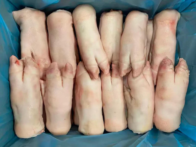 PRC_93 Front feet_10000