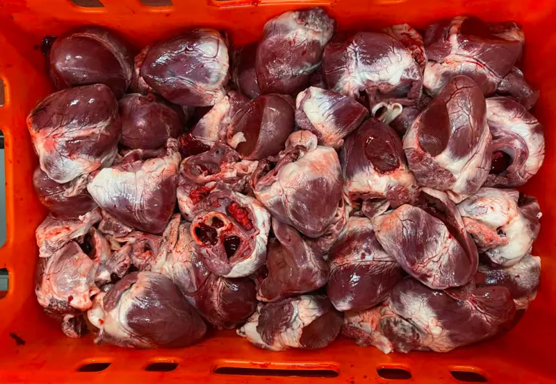 PRC 93 hearts 14400